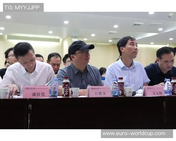 北京羽毛球队边路渗透战术分析与实际表现的优劣探讨MBA